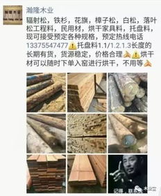 找原木,找板材,在這里,2017年9月16日 ,精品木材 銷售信息,履約思源,不忘初心 財經 網