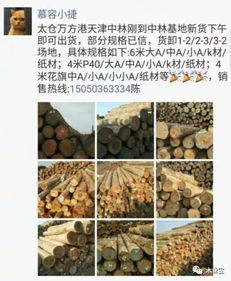 找原木,找板材,在這里,2017年12月16日,精品木材銷售信息,履約思源,不忘初心 財經(jīng) 網(wǎng)
