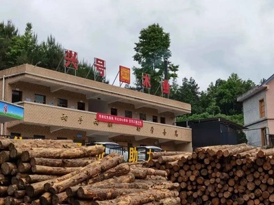 黔南州“強村十法”拓寬集體經濟發展路徑