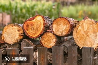 先提升行業(yè)效率,再切供應鏈金融, 真木網(wǎng) 為貿(mào)易商提供木材 b2b 平臺