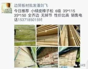 找原木,找板材,在這里,2017年9月14日 ,精品木材 銷售信息,履約思源,不忘初心 財經 網