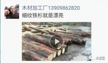 找原木,找板材,在這里,2017年10月17日,精品木材銷售信息,履約思源,不忘初心 財經(jīng) 網(wǎng)
