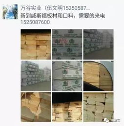 找原木,找板材,在這里,2017年4月21日 ,精品木材銷售信息,履約思源,不忘初心 