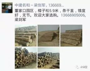 找原木,找板材,在這里,2017年4月8日 ,精品木材銷售信息,履約思源,不忘初心 其它 網(wǎng)
