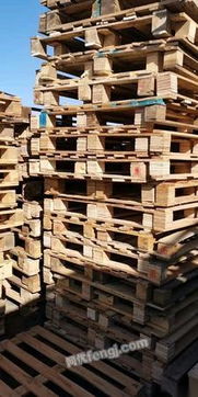 天津廢木頭供應(yīng)圖片信息 天津廢木頭出售圖片信息 廢木頭供求圖片欄目