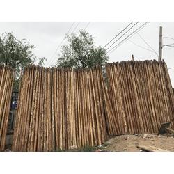 甘肅原木大板 有品質(zhì)的原木直銷批發(fā)