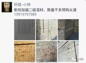 找原木,找板材,在這里,2017年4月21日 ,精品木材銷售信息,履約思源,不忘初心 