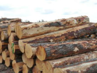 木材生意如何入手,從幾個(gè)方面進(jìn)行分析,大家可以參考一下。