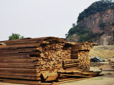 “南蒸北烤”模式開(kāi)啟,木材商只能“靠天吃飯”?